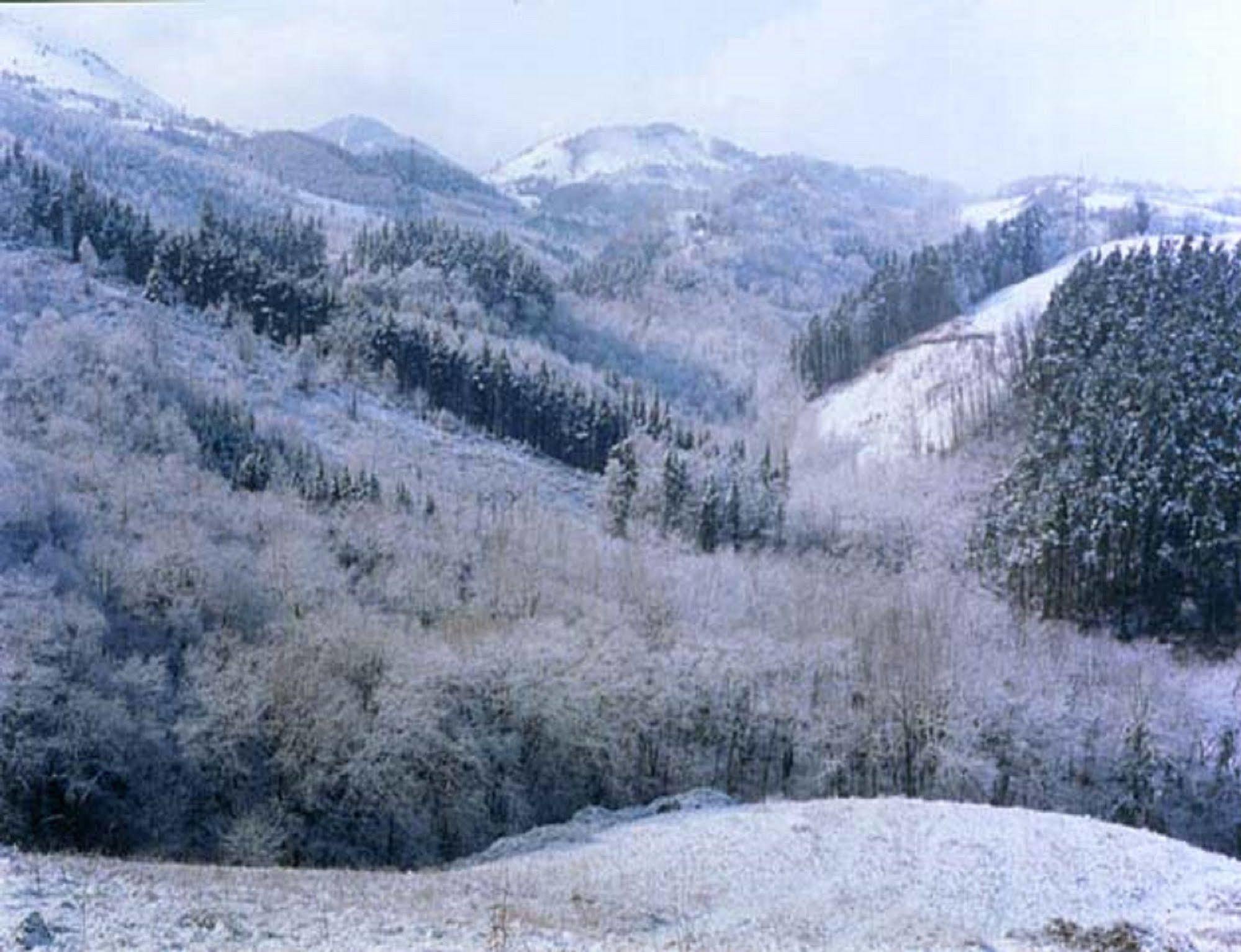 Pardiola Baserria Hernani Exterior photo